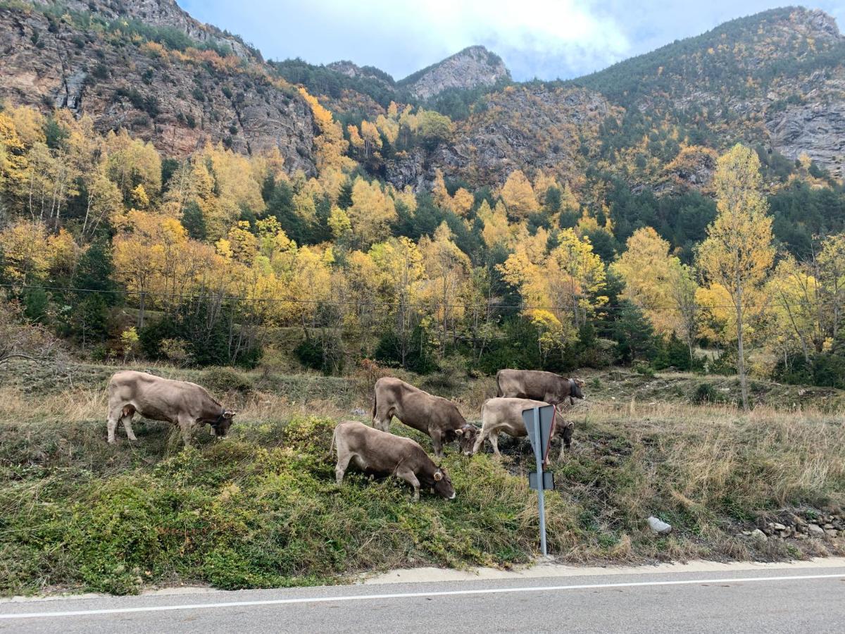 Chalet En El Pirineo De Aragon Neril Εξωτερικό φωτογραφία